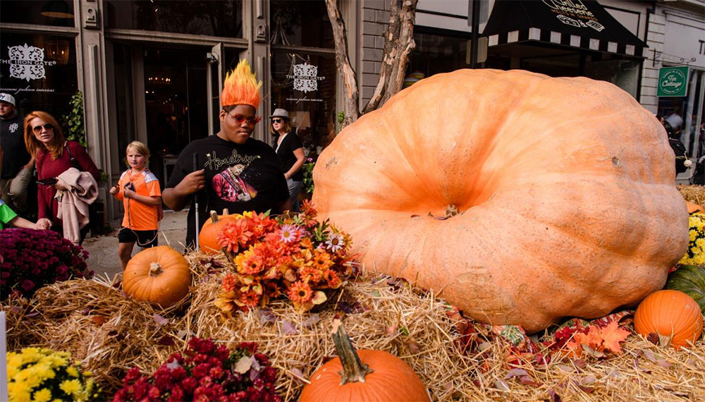 autumn pumpkin festival Nashville