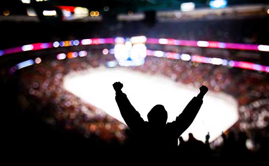 fan cheering