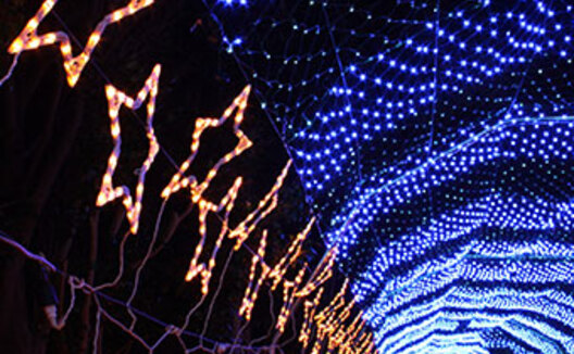 Zoolumination Festival of Lights