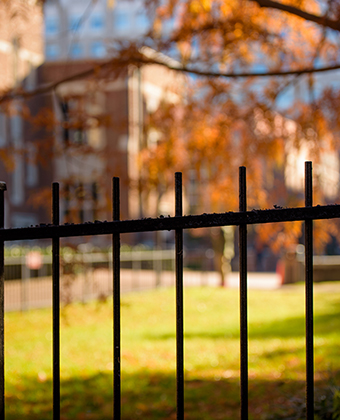 Vanderbilt fence